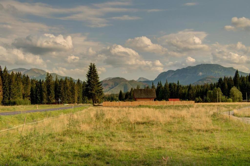 Domek Regionalny Baligowka Witów Esterno foto